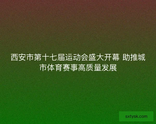 西安市第十七届运动会盛大开幕 助推城市体育赛事高质量发展